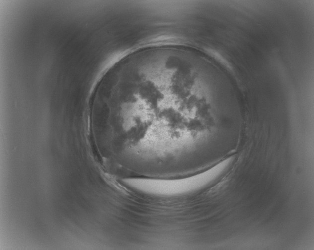 X0000061741413200512161637