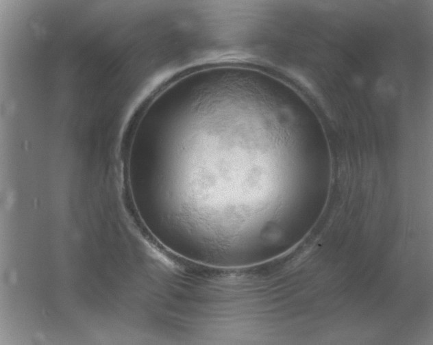 X0000061741414200512161637