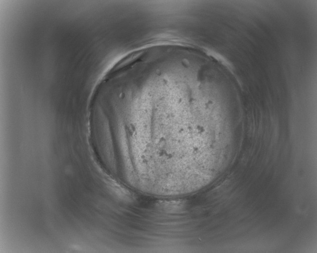 X0000061741415200512161637