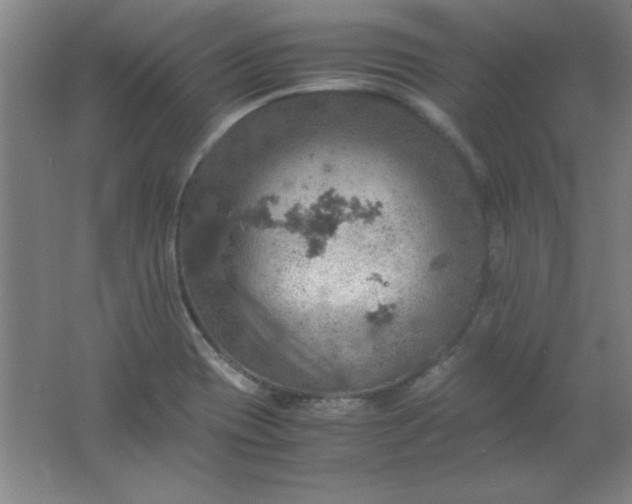 X0000061741417200512161637