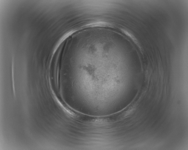 X0000061741418200512161637