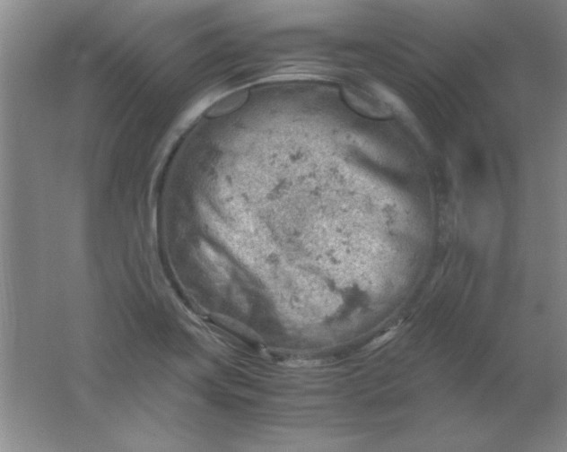 X0000061741419200512161637