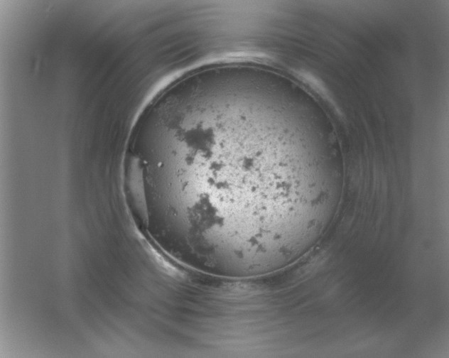 X0000061741420200512161637