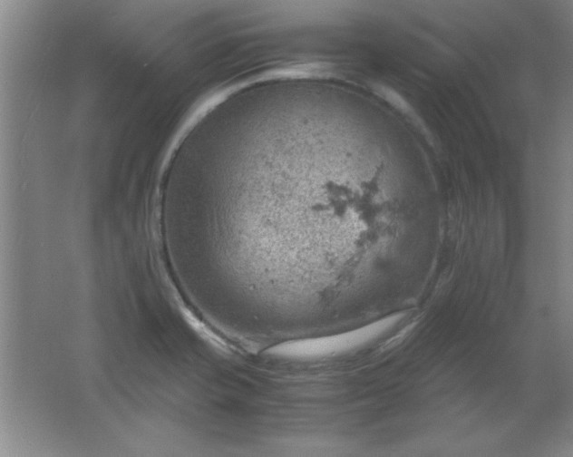 X0000061741421200512161637