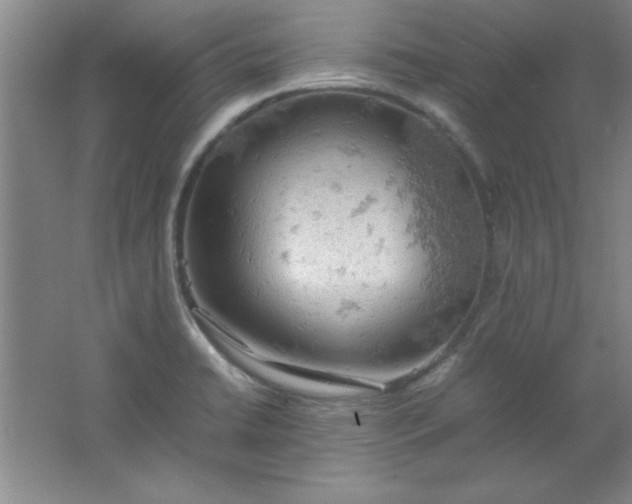 X0000061741422200512161637