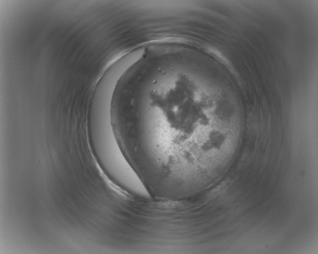 X0000061741425200512161638