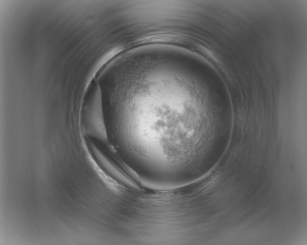 X0000061741426200512161638