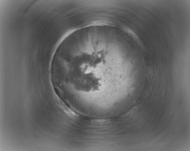 X0000061741427200512161638