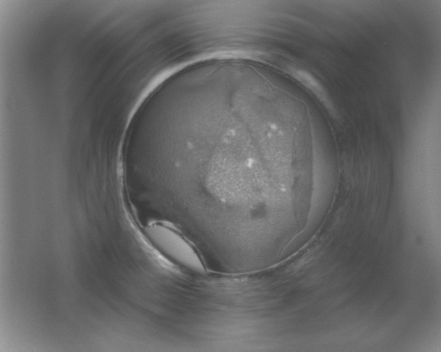 X0000061741428200512161638