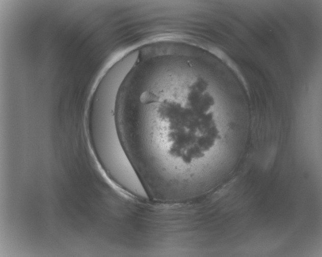 X0000061741429200512161638