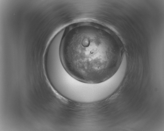 X0000061741430200512161638