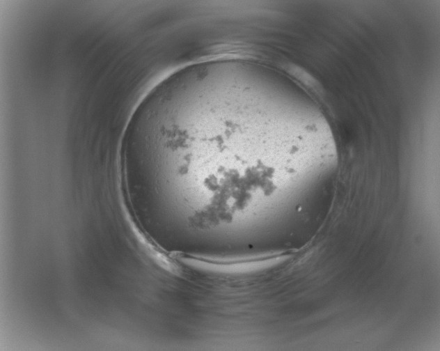 X0000061741431200512161638