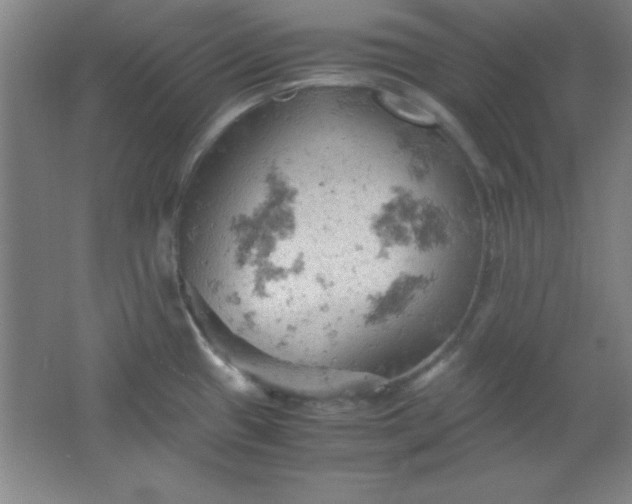 X0000061741433200512161638