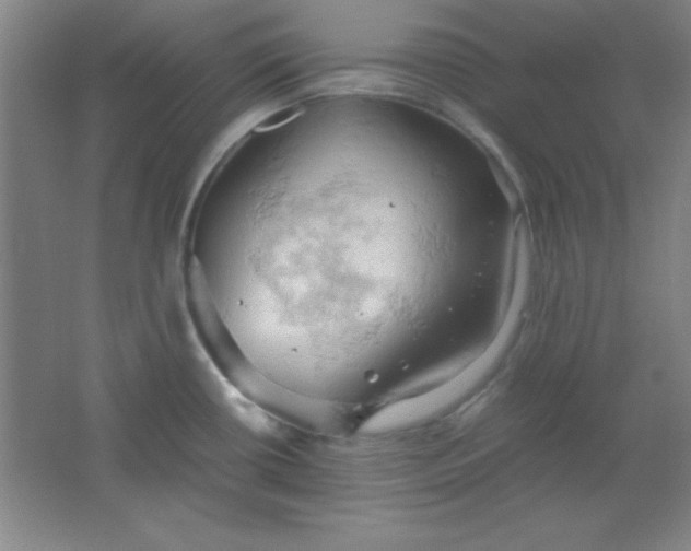 X0000061741434200512161638