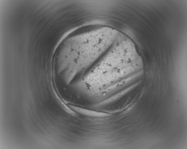 X0000061741436200512161638