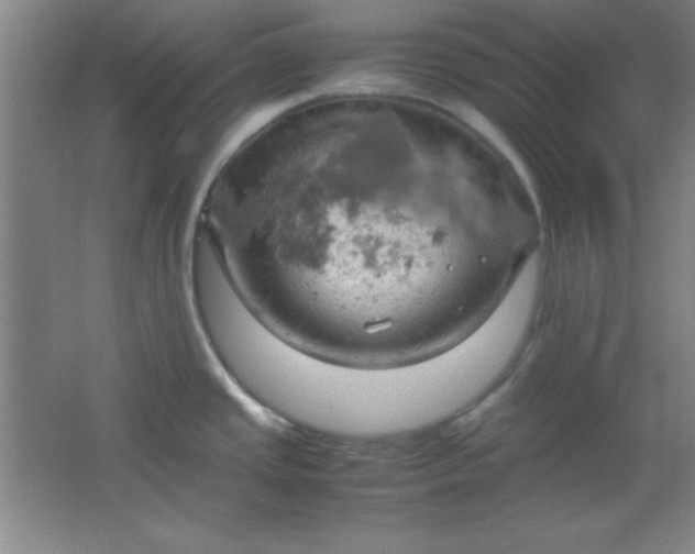 X0000061741437200512161638