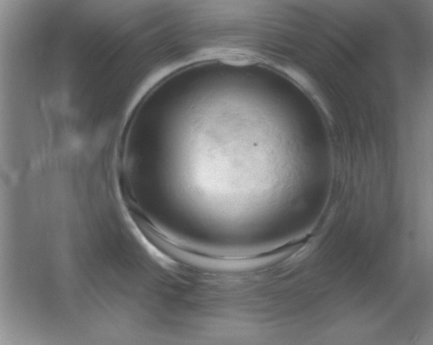 X0000061741438200512161638