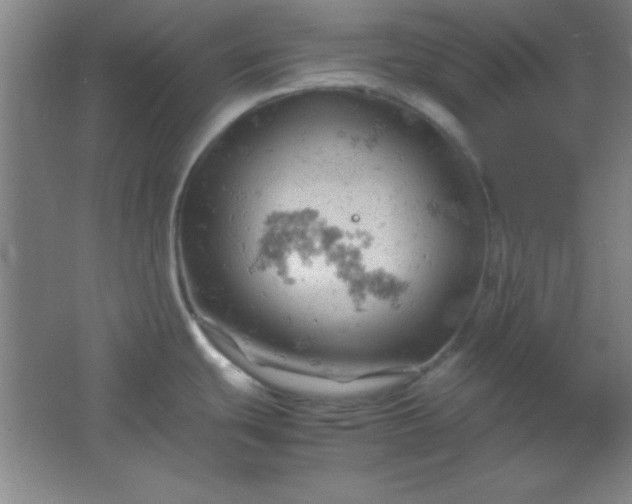 X0000061741439200512161638