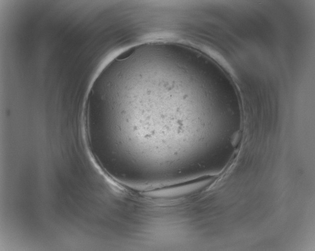 X0000061741440200512161638