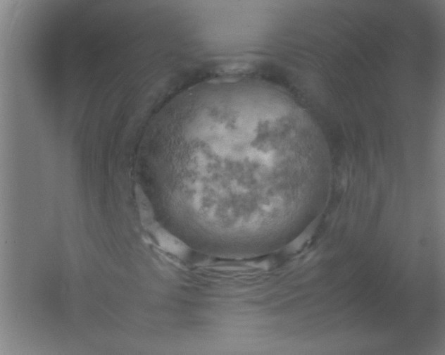 X0000061741441200512161637