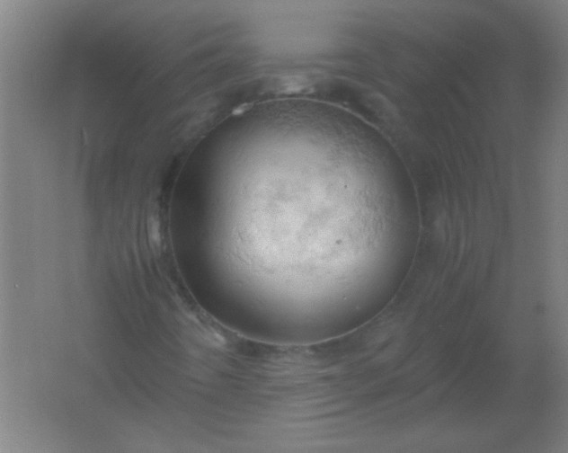 X0000061741442200512161637