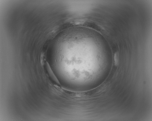 X0000061741443200512161637