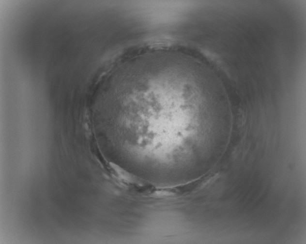 X0000061741445200512161637