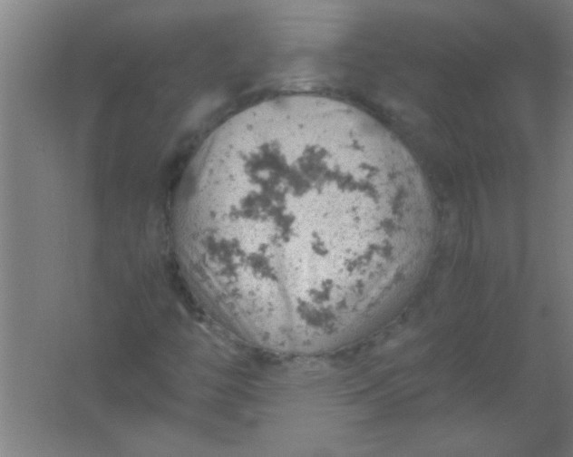 X0000061741446200512161637