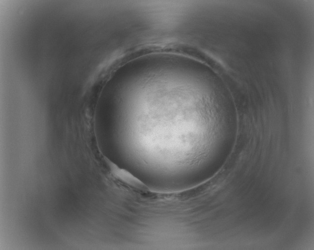 X0000061741447200512161637