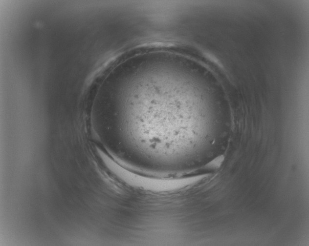 X0000061741448200512161637