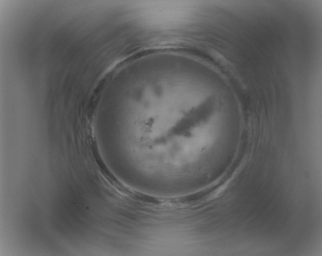 X0000061741449200512161637