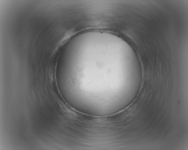 X0000061741451200512161637