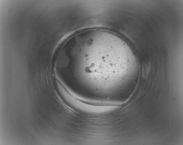 X0000061741452200512161637