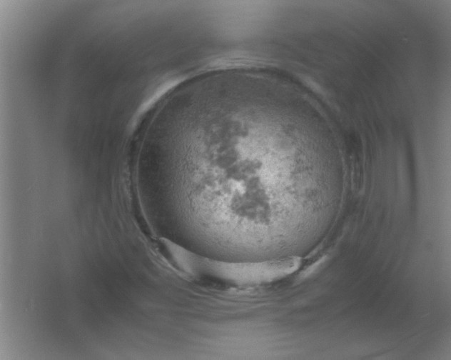 X0000061741453200512161637