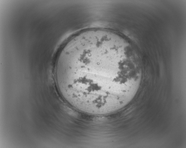 X0000061741454200512161637