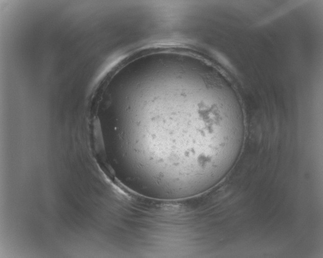 X0000061741456200512161637