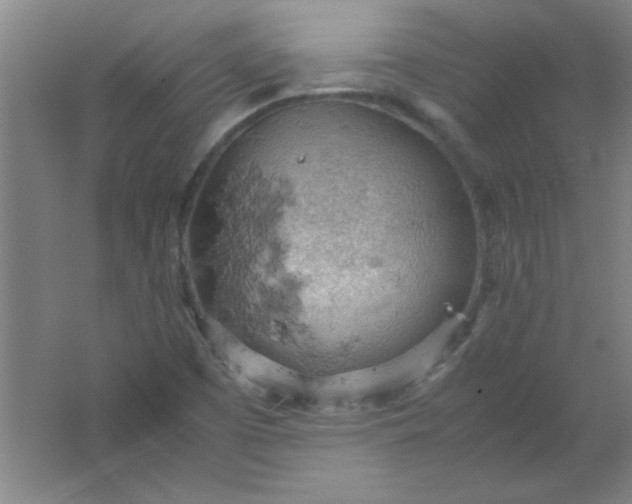 X0000061741457200512161637