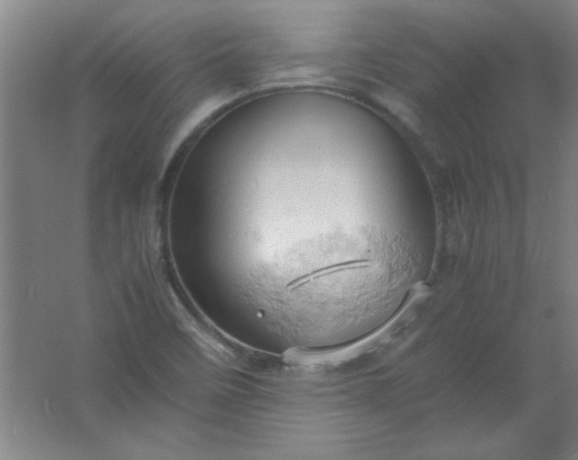 X0000061741458200512161637