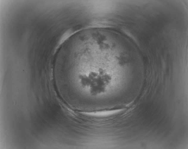 X0000061741459200512161637