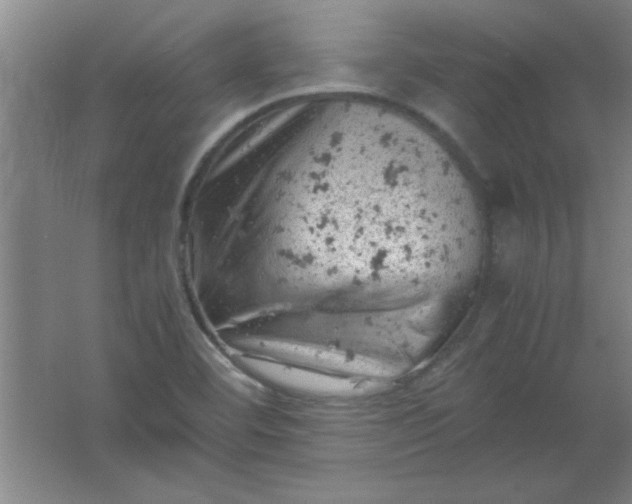 X0000061741460200512161637