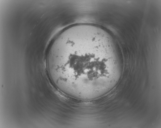 X0000061741462200512161637