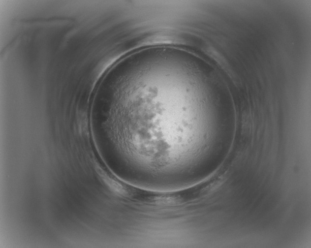 X0000061741465200512161637