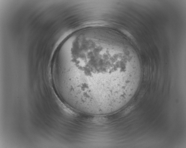 X0000061741466200512161637