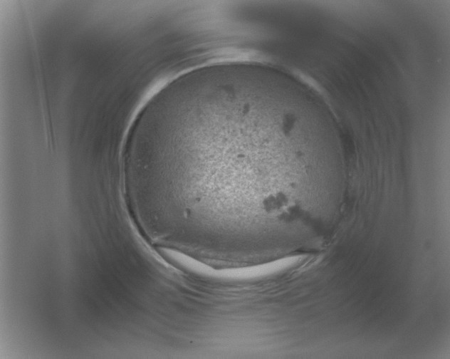 X0000061741467200512161636