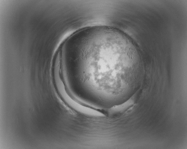 X0000061741469200512161636