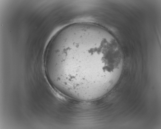 X0000061741470200512161636