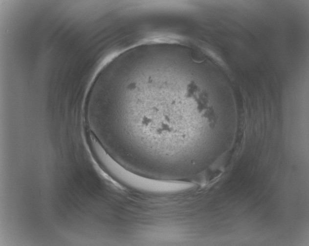 X0000061741471200512161636