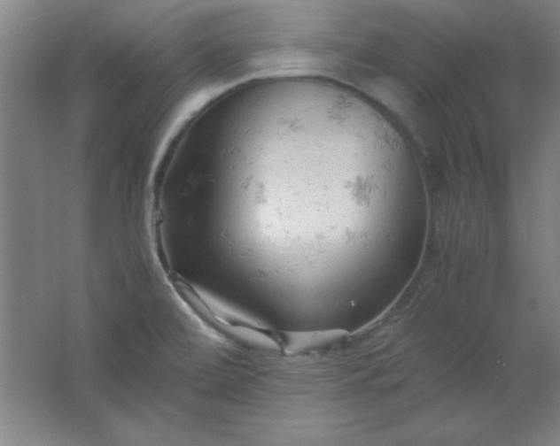 X0000061741472200512161636