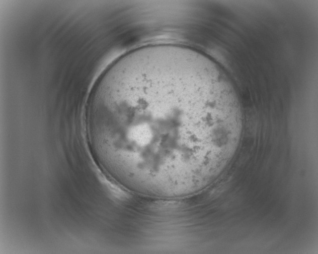 X0000061741474200512161636