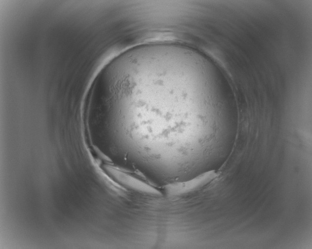 X0000061741475200512161636